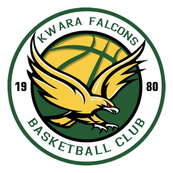 Kwara Falcons